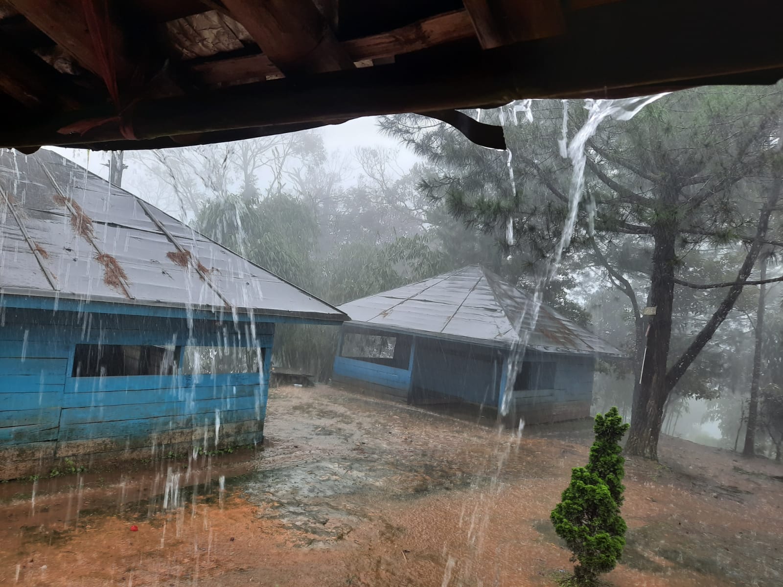 Gunung Sanggabuana : Pendakian Tek Tok Dadakan Backpacker ...