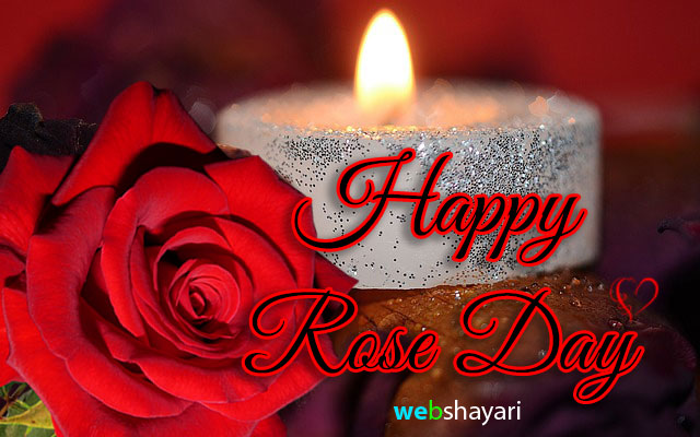 happy rose day  photo shayari download  images