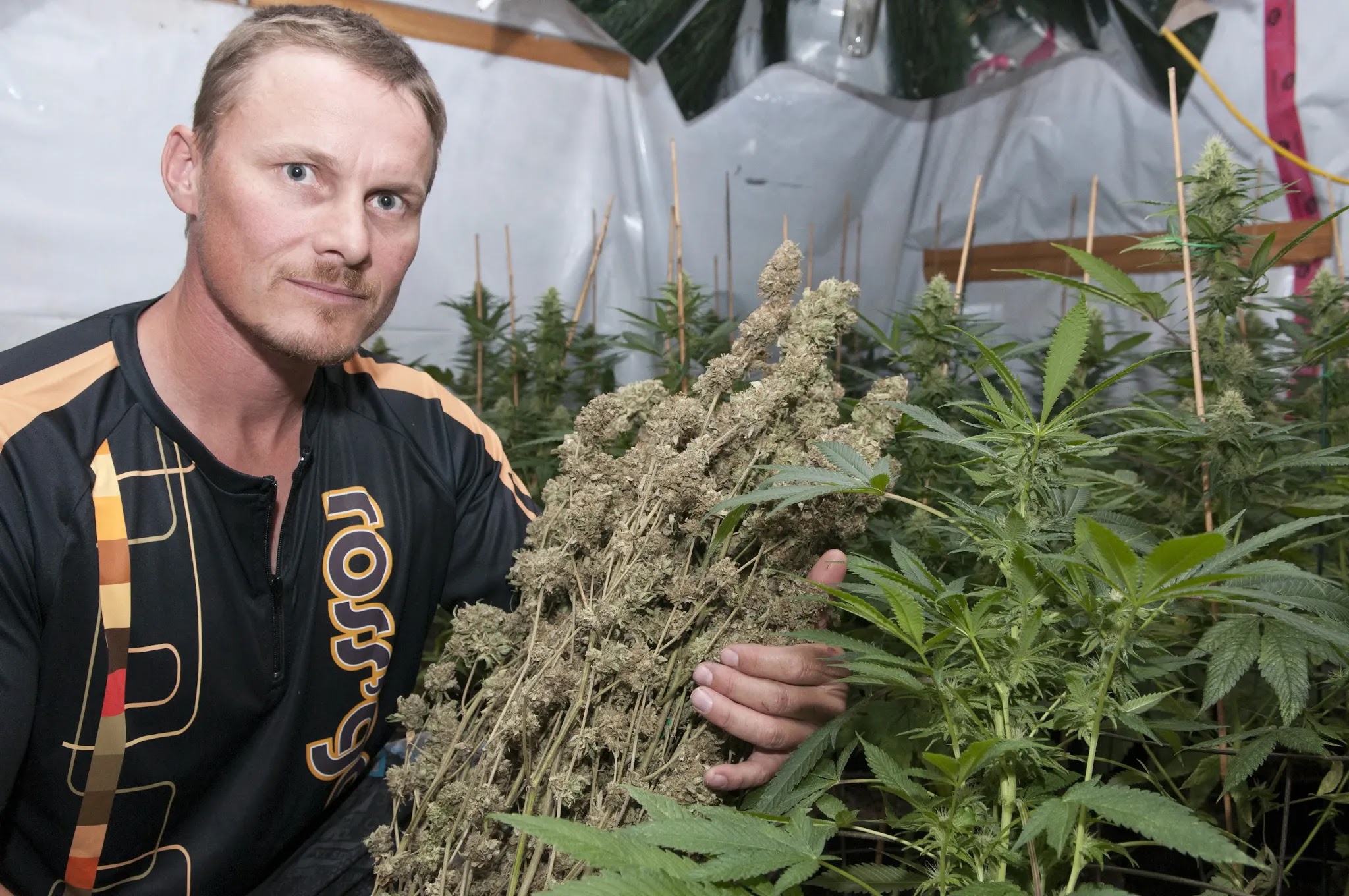 Ranking the Top 5 Olympic Athletes That Smoke Cannabis/Weed FootBasket