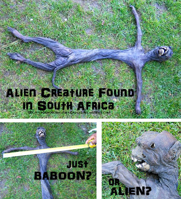 alien Mystery in South Africa