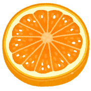 スライスされたオレンジのイラスト