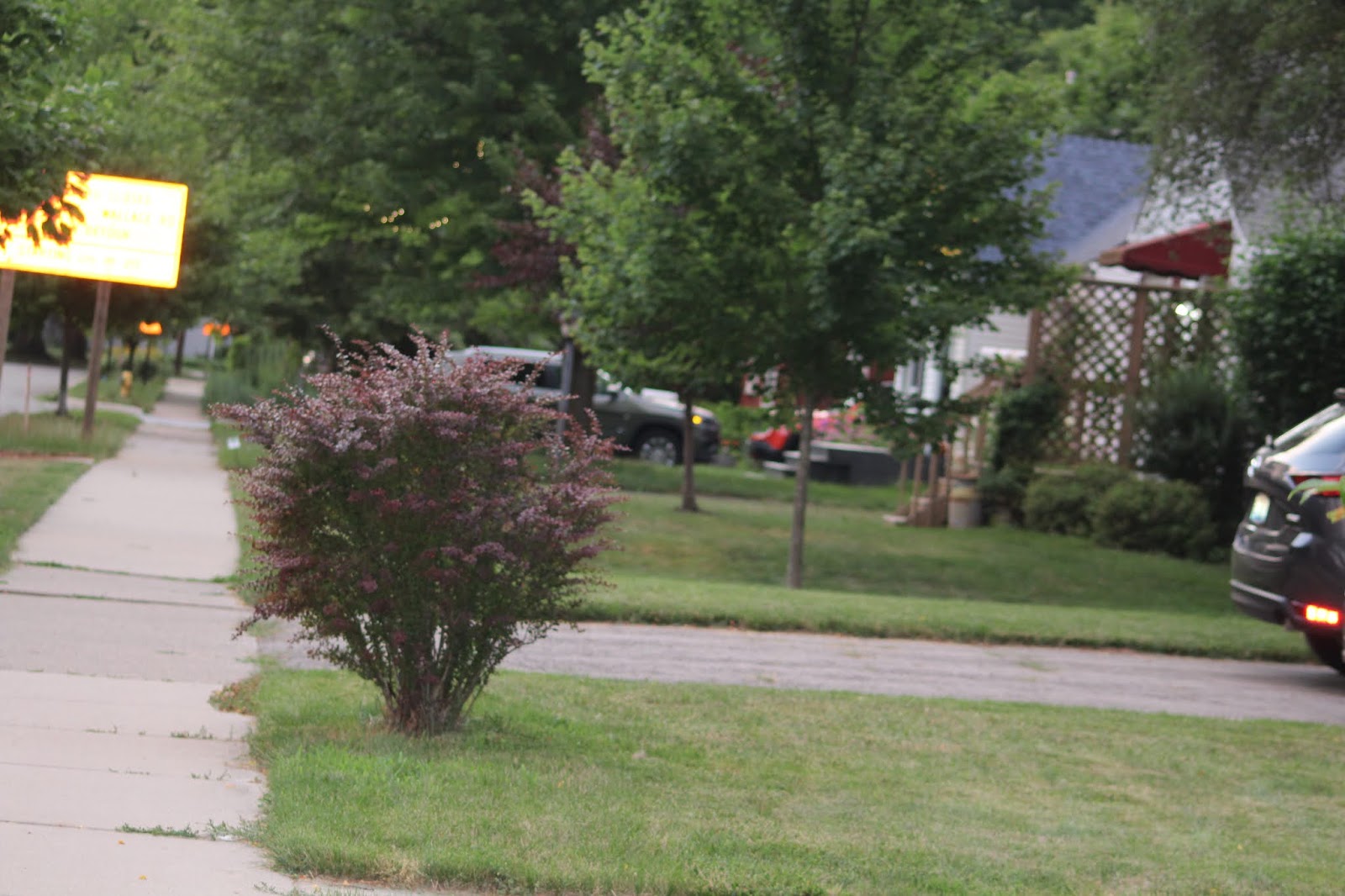 Purple Walrus Press Reports of A Shot Fired In Normal Park