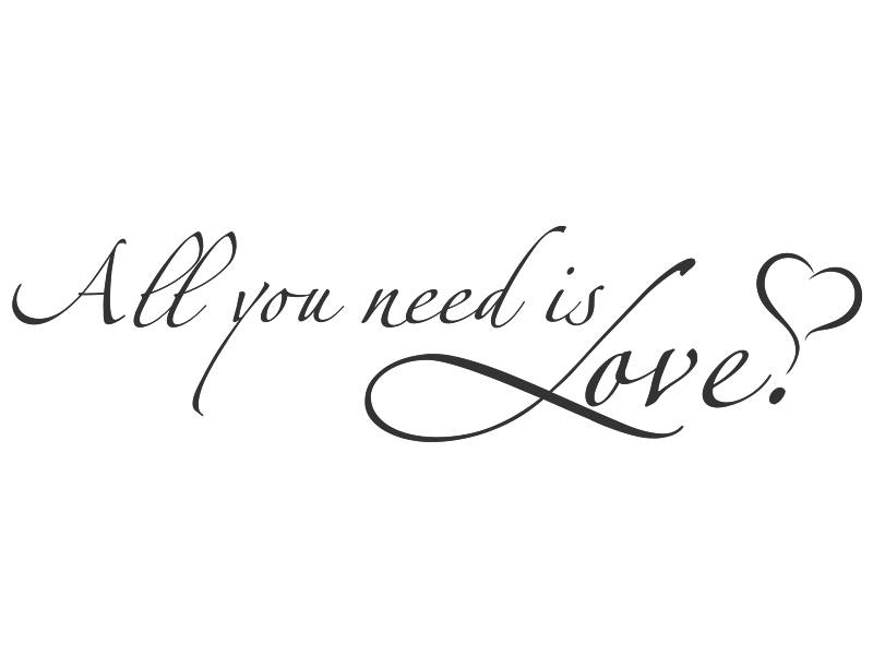 Amor es todo lo que necesitas!