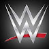 Vários lutadores da WWE despedidos
