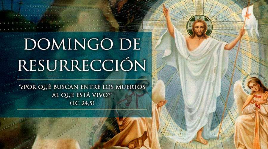 La Clase De Religi n Cat lica En Ed Infantil Y Primaria DOMINGO DE la-clase-de-religi-n-cat-lica-en-ed-infantil-y-primaria-domingo-de