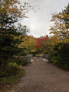 Autumn Bridge At Mary Ann Falls Along The Cabot Trail, Cape Breton Island