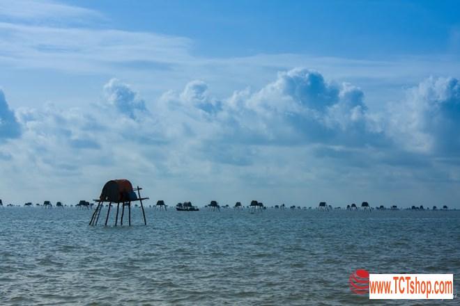 Đồng Châu, Cồn Vành đẹp hoang sơ mùa gió lạnh Đồng Châu, Cồn Vành đẹp hoang sơ mùa gió lạnh