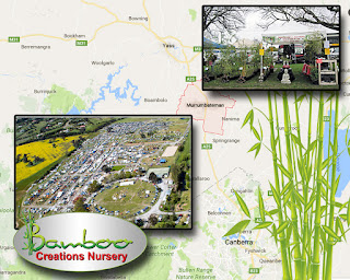 Bamboo creations victoria are attending the murrumbateman field days event.