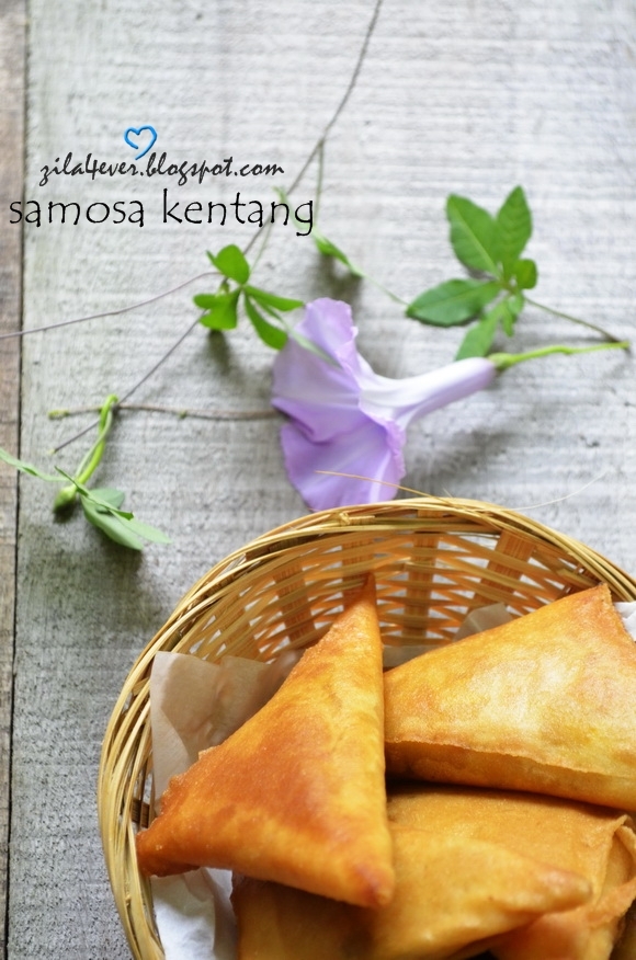 Love Touch Zila Forever Samosa Kentang