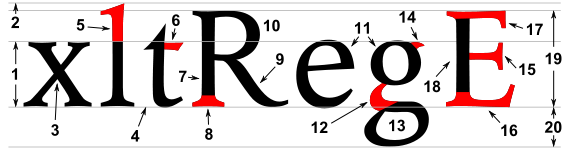 Anatomic parts of a glyph according to Wiki