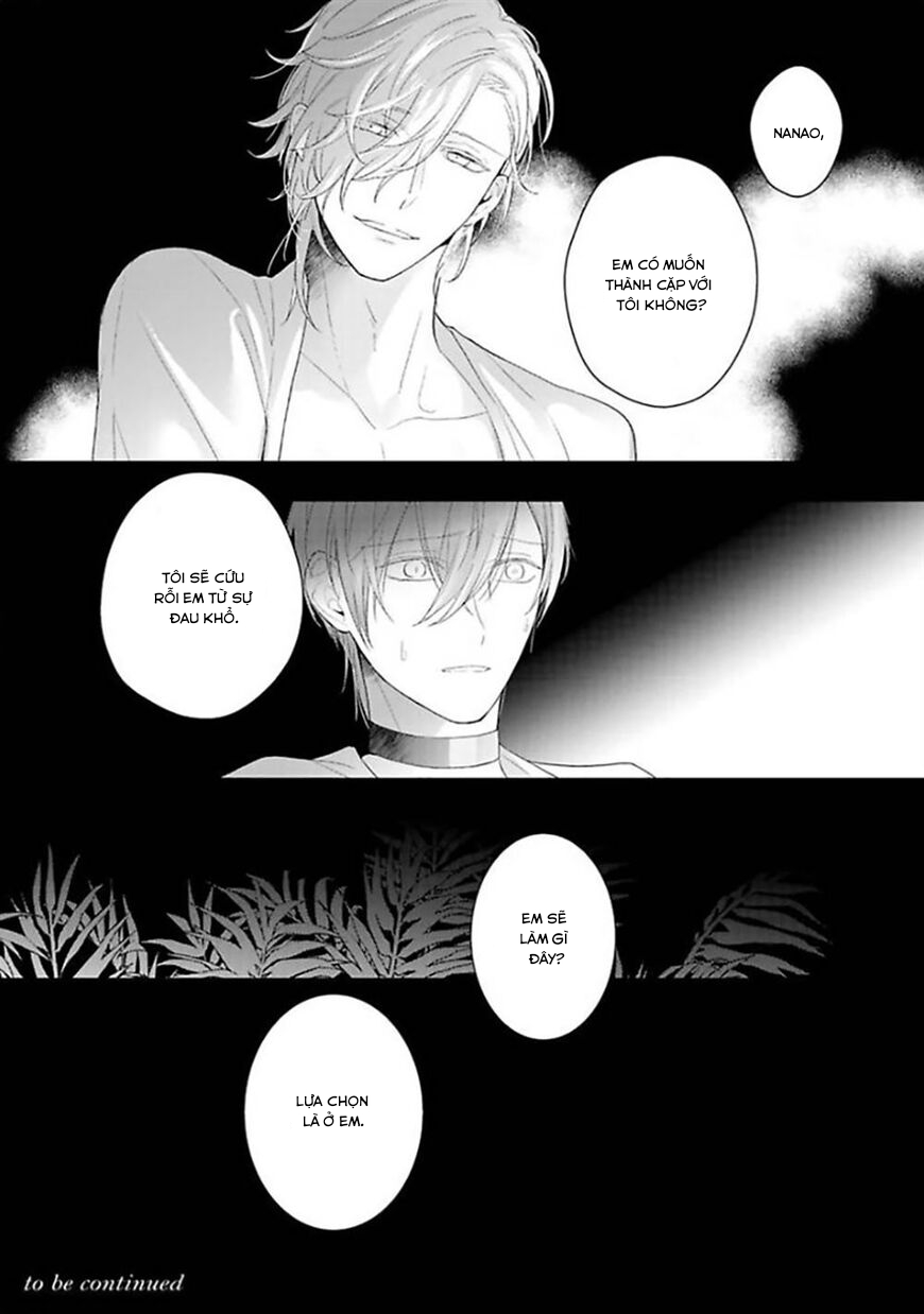 Đọc truyện Omega Không Đứng Đắn Không Thể Rơi Vào Lưới Tình - Chapter 4