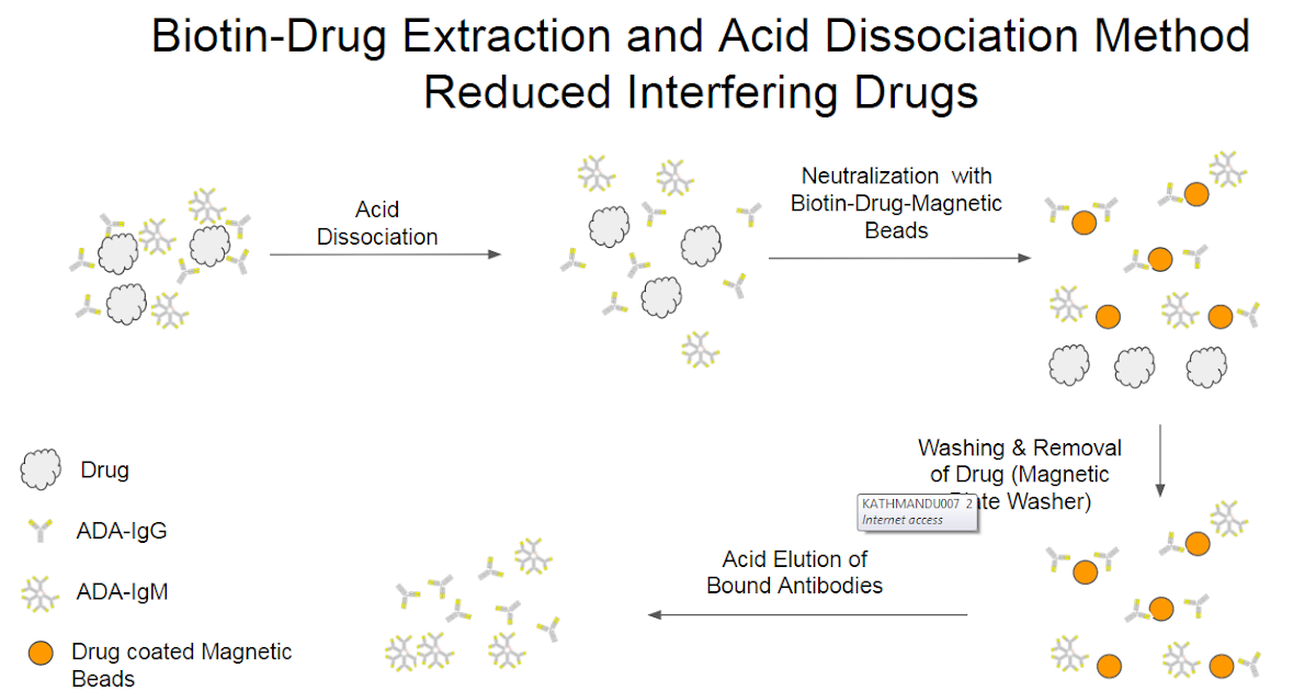 Stepwise Procedure to Optimize BEAD Method for Antidrug Antibody