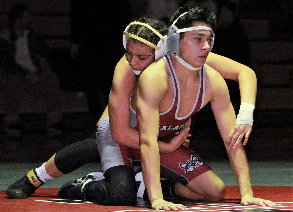 Men Wrestling Women powerful wrestler pins her man