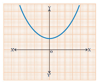CBSE Class 10 Maths Lab Activity - Draw Quadratic Polynomial and Observe (#class10Maths)(#Class10MathsActivity)