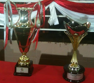 Piala Unity 2011