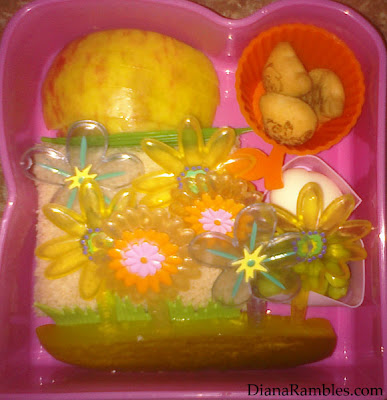 basic bento lunch pack