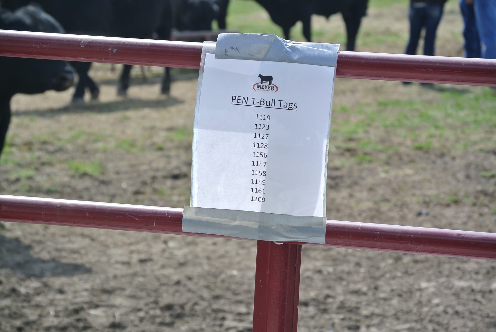 Meyer Cattle Company