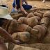 Cemitério indígena de 500 anos é encontrado na Amazônia