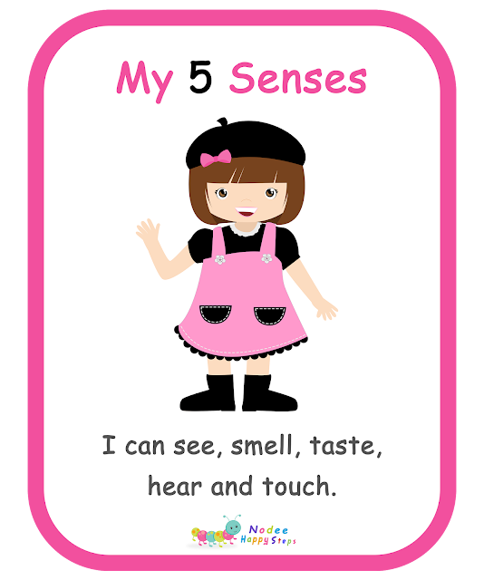 My Body for kids - My Five Senses