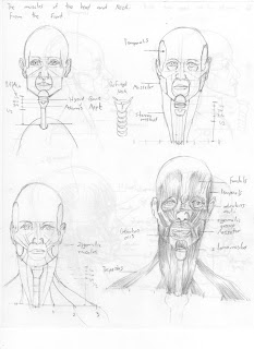 Goodend Graphics: The Understanding of the Human Anatomy (Part 5/The