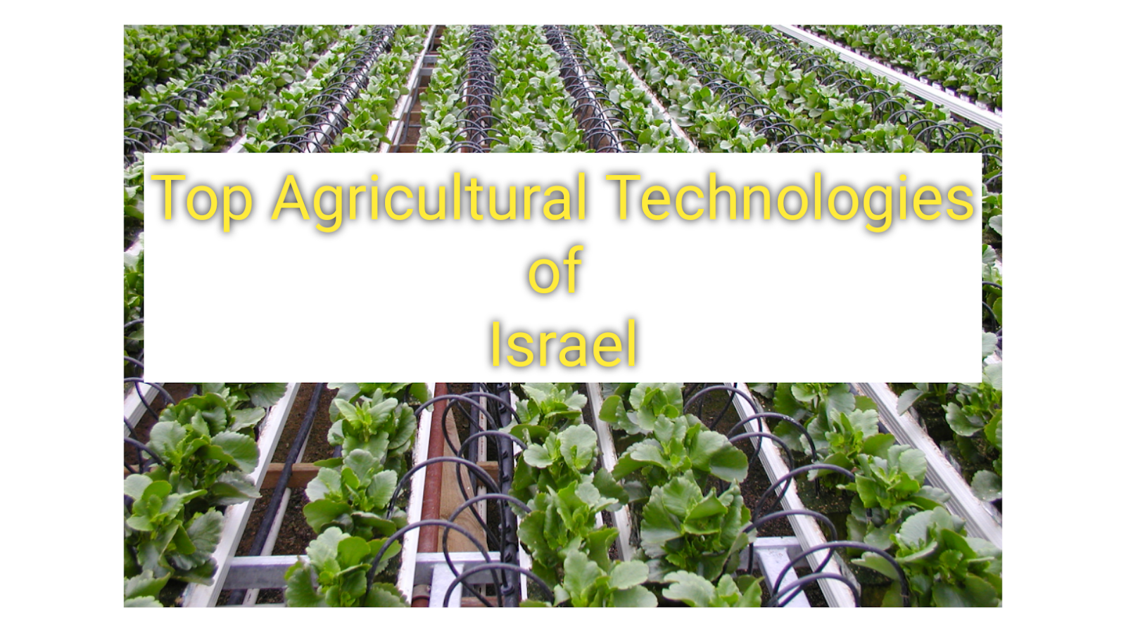 7 Israeli Agriculture Technologies