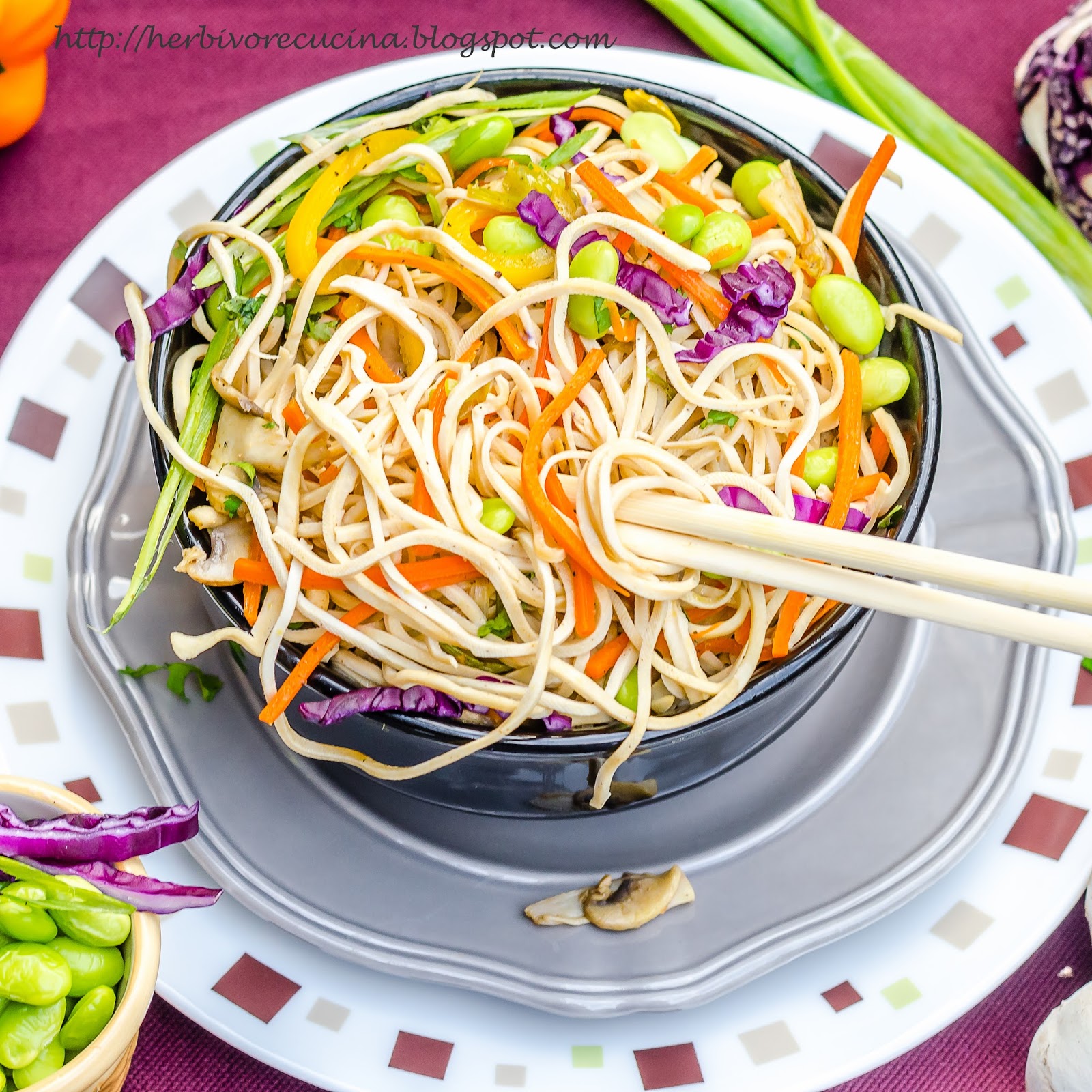 Herbivore Cucina Rainbow Shirataki Noodles