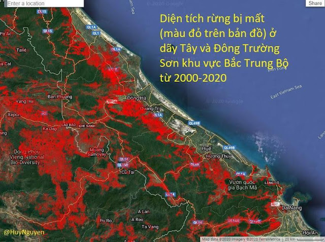 Sốc: Diện tích rừng ở Việt Nam bị mất trong vòng 20 năm qua