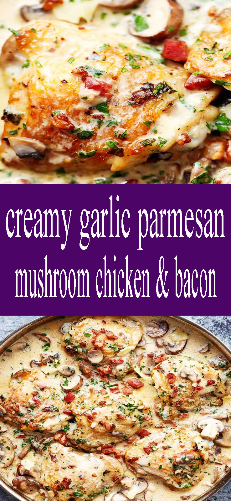 creamy garlic parmesan mushroom chicken And bacon - thepinspopular10