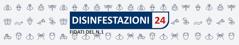 Disinfestazioni24 - Ditta di disinfestazioni