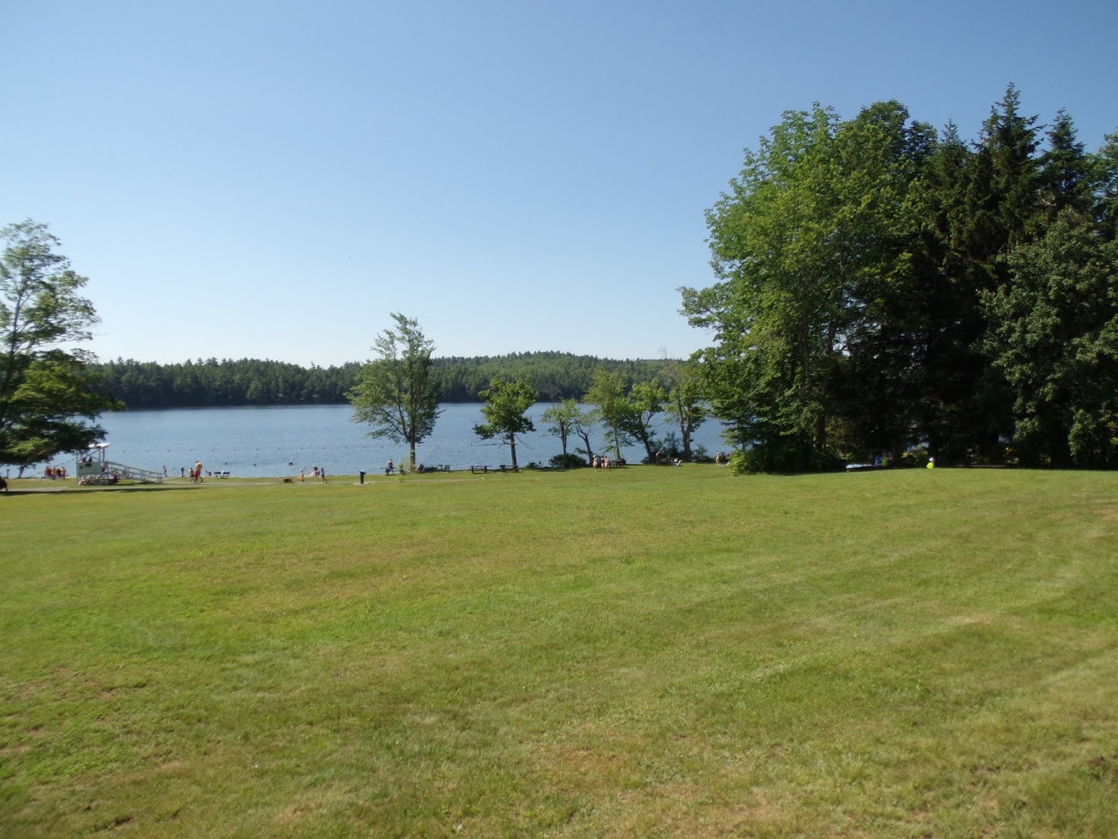 Lake St. State Park, Liberty, Maine