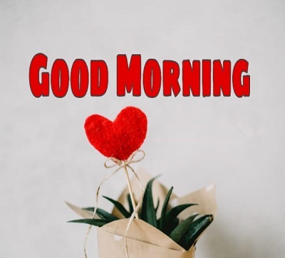Download 15+ Good Morning Heart Images Download 15+ Good Morning Heart Images