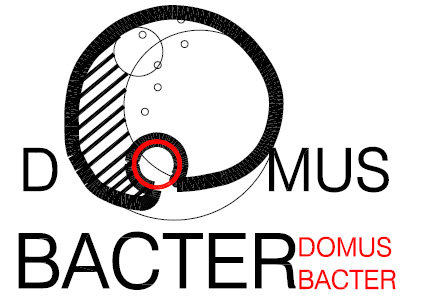 DOMUSBACTER