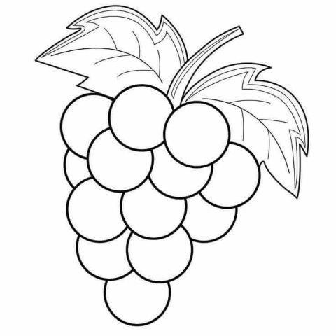Desenhos de Frutas Deliciosas para Colorir e Imprimir