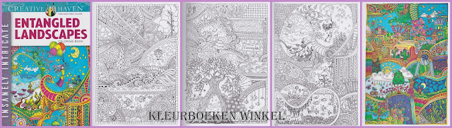 Kleurboek motieven, entangled landscapes Kleurboek motieven, entangled landscapes