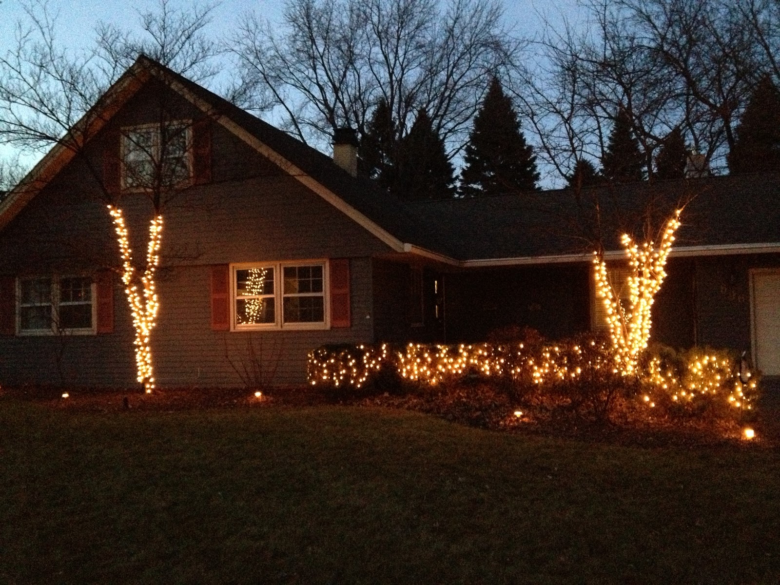 Maintaining The Dream Are LED Christmas Lights Worth It?
