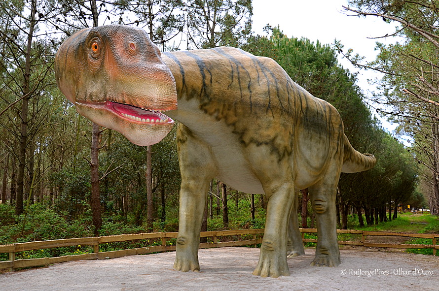 Ao encontro dos Dinossauros no Dino Parque na Lourinhã