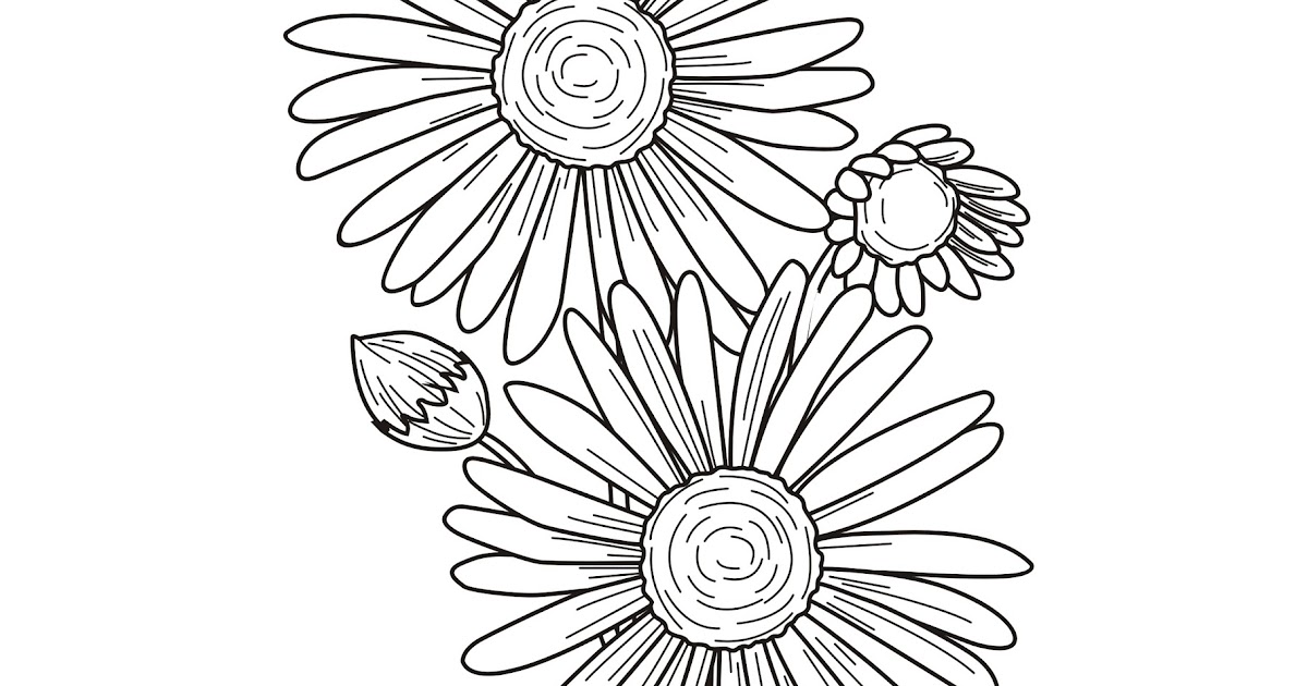 Mewarnai Bunga Daisy GAMBAR MEWARNAI HD jpg (1200x630)