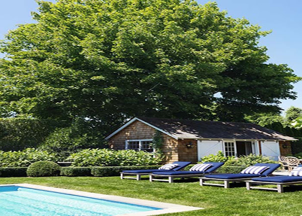 تصاميم حمامات سباحة - 40 صورة