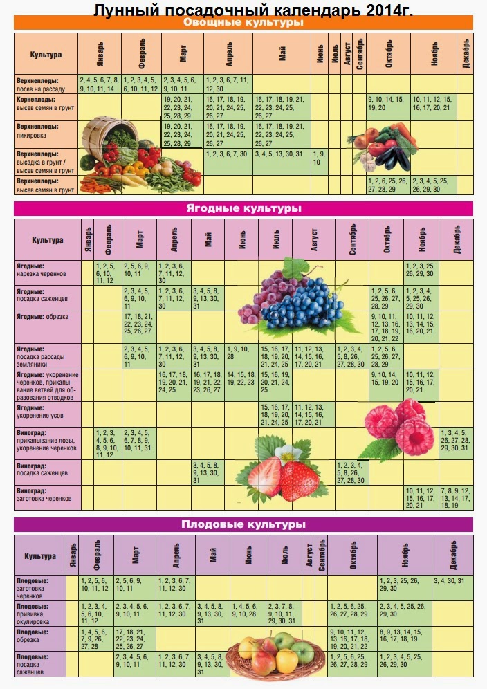Посадочный календарь на апрель 24 года. Календарь посадок. Природный календарь посадок. Календарь высадки цветочных. Календарь посадок домашних цветов на июль.