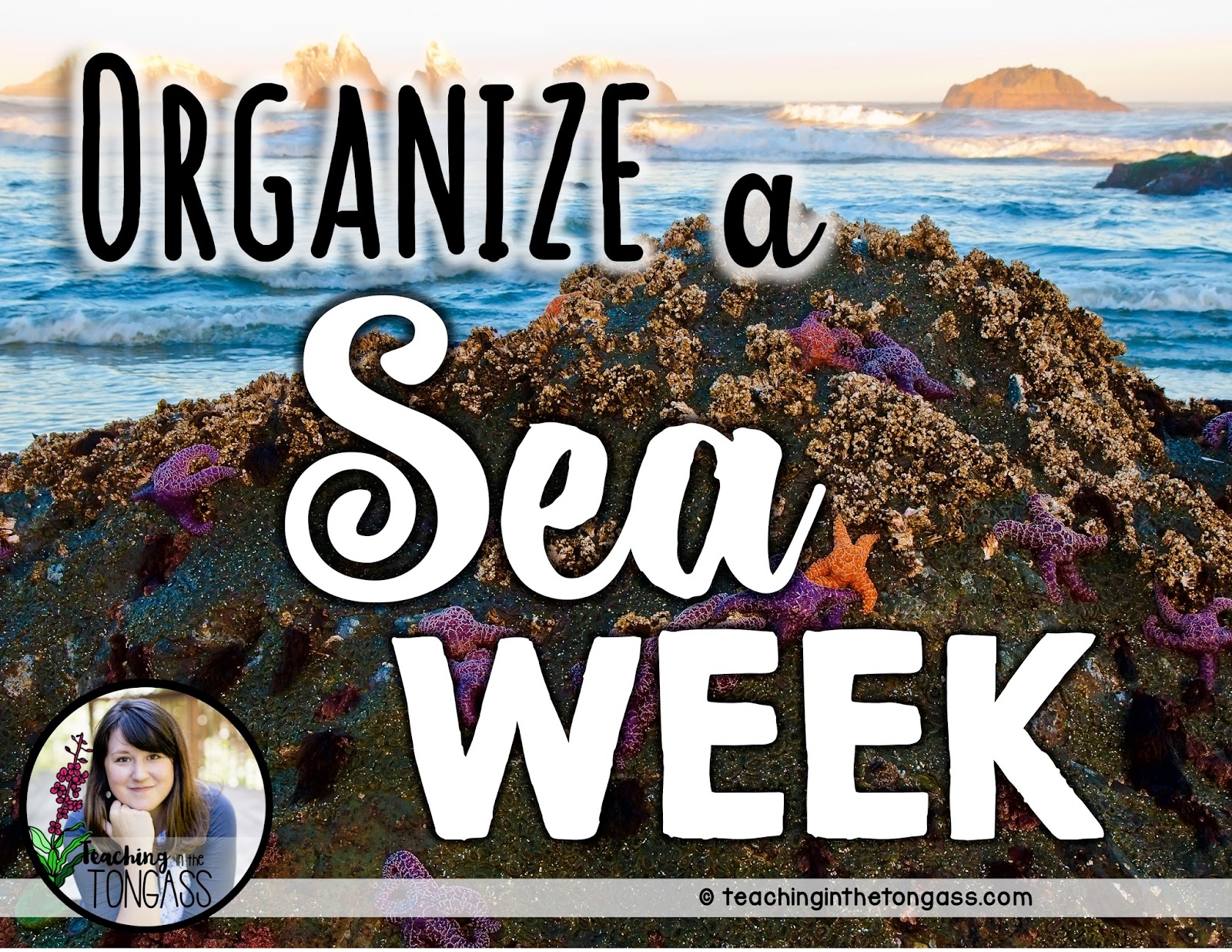 Learning about Tide Pools (aka Sea Week) Teaching in the Tongass