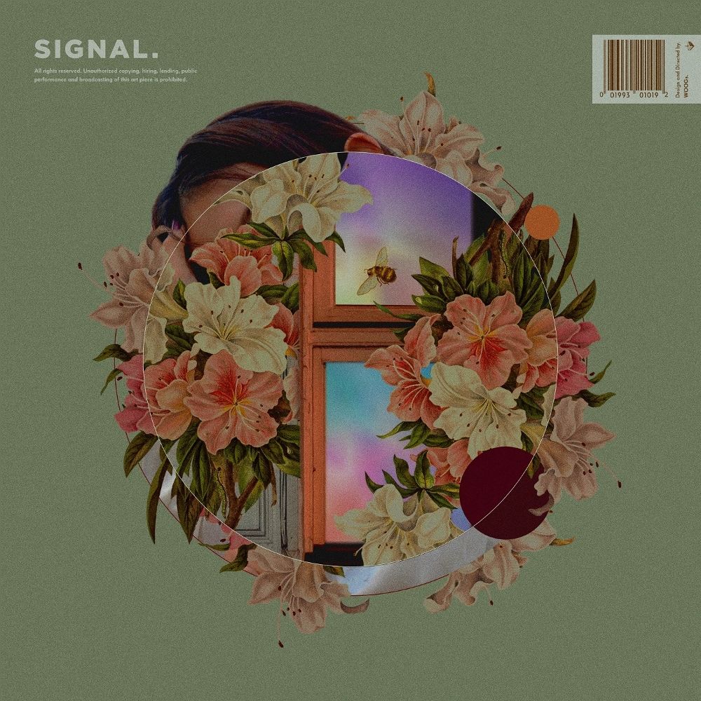 PUP – Signal – EP