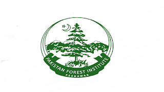 www.ita.org.pk Jobs 2021 - Forest Department Mansehra Jobs 2021 in Pakistan www.ita.org.pk Jobs 2021 - Forest Department Mansehra Jobs 2021 in Pakistan