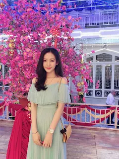 Thí sinh Hoa hậu Việt Nam gây sốt vì giống Đặng Thu Thảo