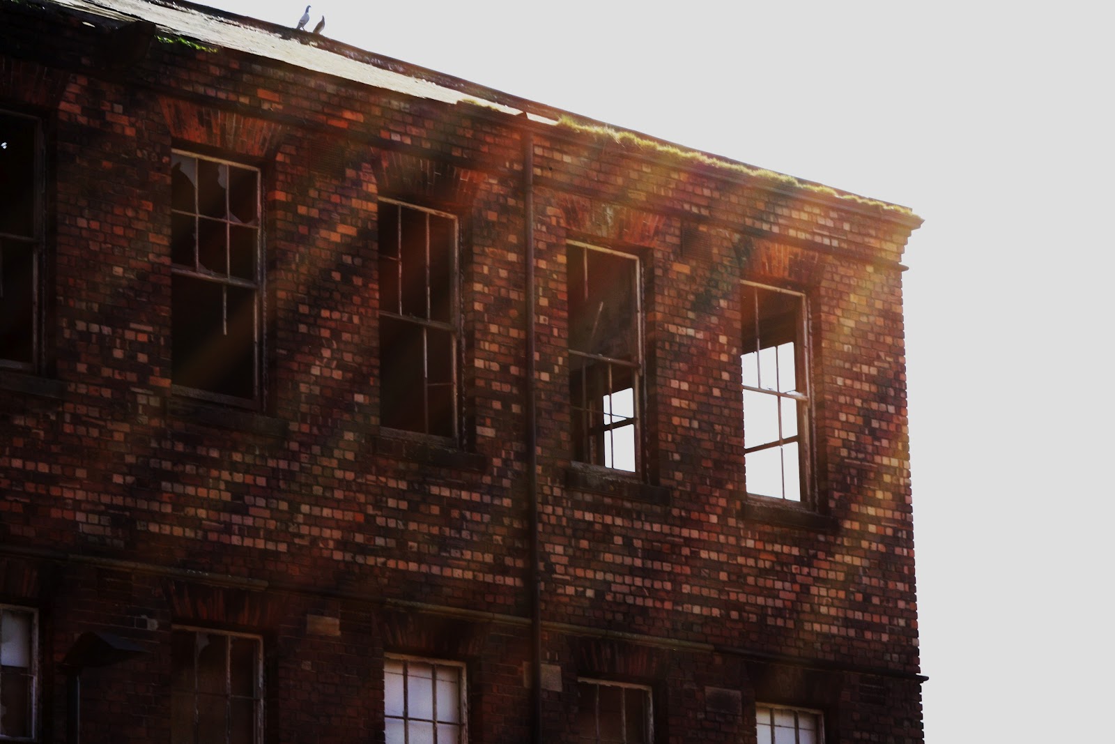 Alistair Heath GNR Derelict Warehouse Nottingham