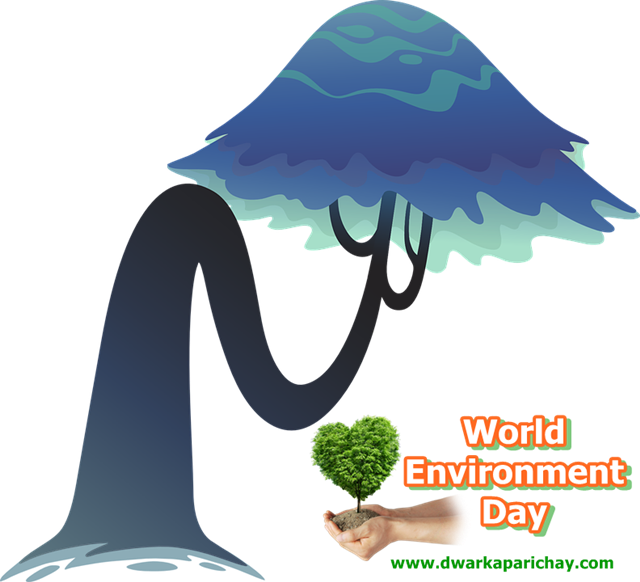 dwarka parichay news info services world environment day celebration by sukh dukh ke sathi sansthi world environment day celebration