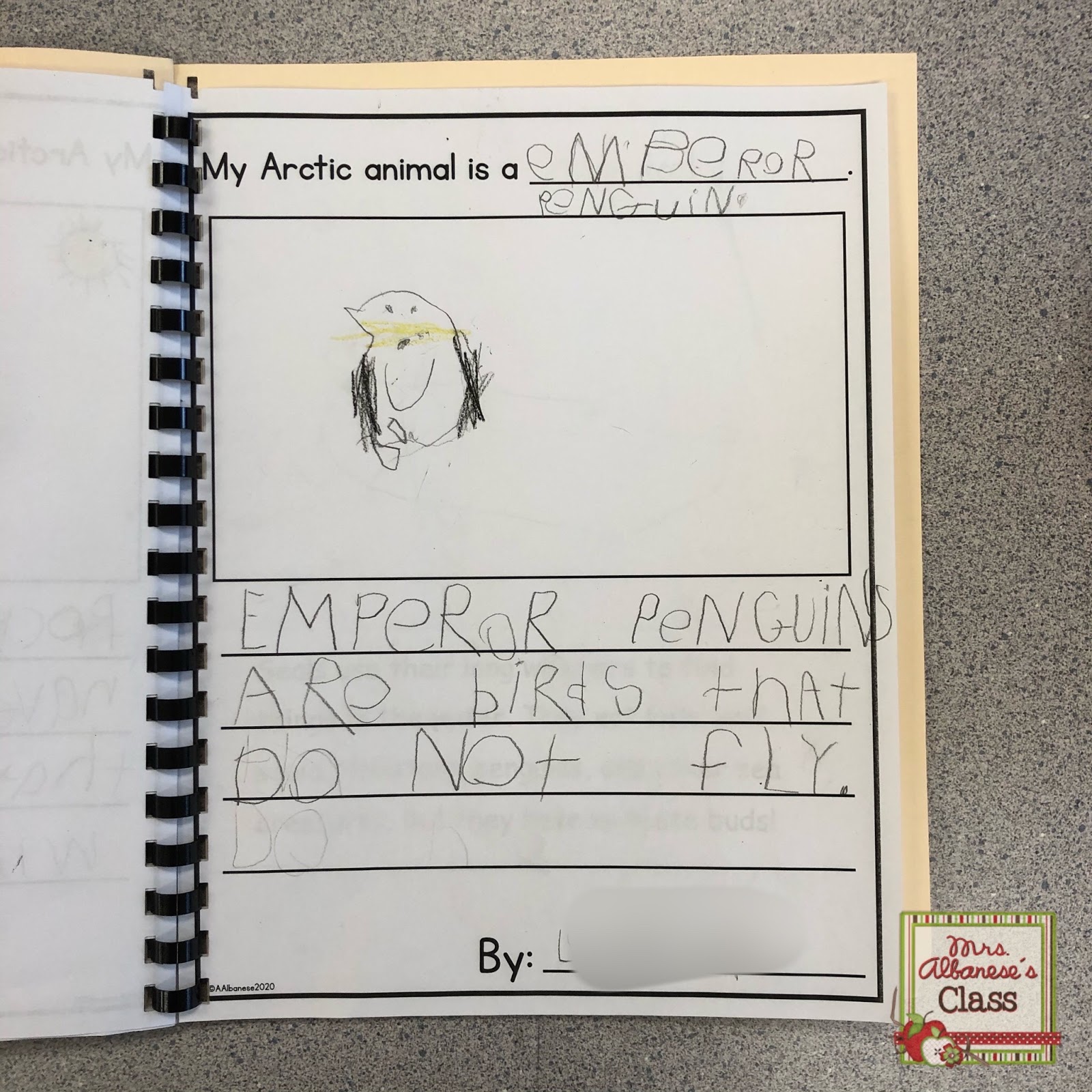 Our Arctic Inquiry | Mrs. Albanese's Kindergarten Class