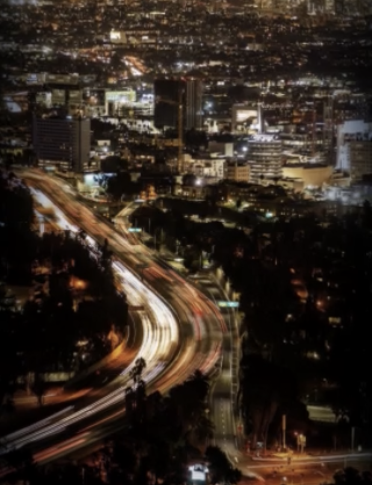 Padma mccord investor real estate new homes investments real estate