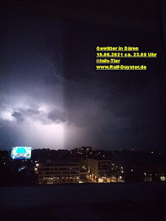 Gewitter Düren 19.06.2021 ©Info-Tier www.Ralf-Duyster.de