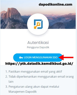 Login menggunakan sso