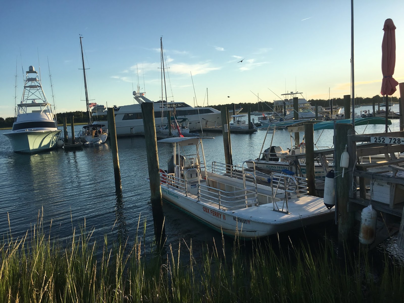 Collard Patch Beaufort, North Carolina